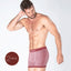 5391pk_boxer_PRINCIPAL.jpg